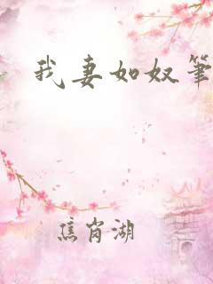 我妻如奴笔趣阁