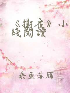 《撕夜》小说在线阅读