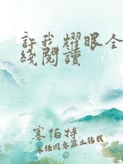 许我耀眼全集在线阅读