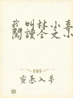 我叫林小喜免费阅读全文小说