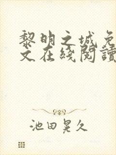 黎明之城免费全文在线阅读