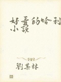 好看的哈利波特小说