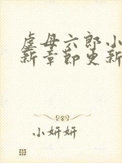 虐母六郎小说最新章节更新内容