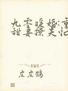 九零暖婚:重生甜妻撩夫忙小说阅读