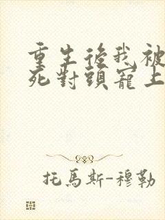 重生后我被渣男死对头宠上天短剧