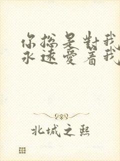 你总是对我说你永远爱着我什么歌