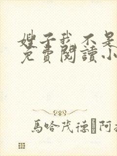 嫂子我不是傻子免费阅读小说全文