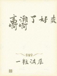 高潮了好爽啊啊啊啊