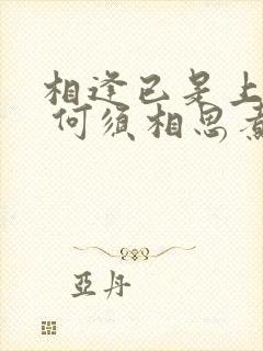 相逢已是上上签 何须相思煮余年什么意思