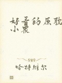 好看的原耽小说小众