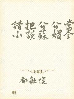 错把公公当老公小说苏媚全文阅读