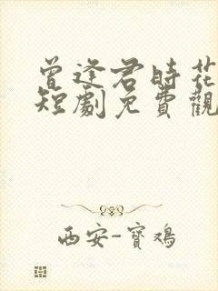 曾逢君时花照眼短剧免费观看全集