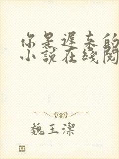 你是迟来的欢喜小说在线阅读