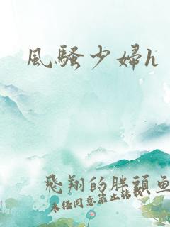 风骚少妇h