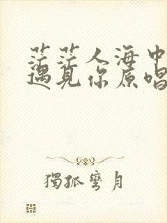 茫茫人海中让我遇见你原唱完整版