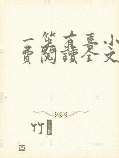 一笙有喜小说免费阅读全文