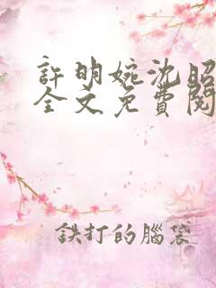 许明婉沈昭小说全文免费阅读