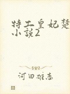 特工皇妃楚乔传小说2