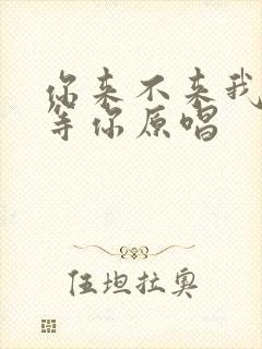 你来不来我都在等你原唱