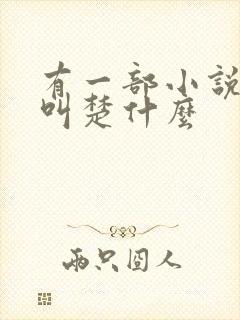 有一部小说主角叫楚什么