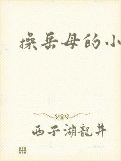 操岳母的小逼