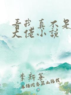 看我真不是女装大佬小说