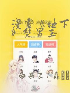 漫画《地下偶像》双男主：结局+番外