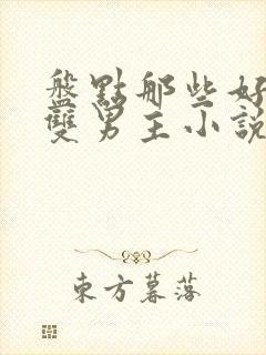 盘点那些好看的双男主小说