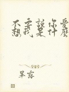 不要说你爱我你想我是什么歌名