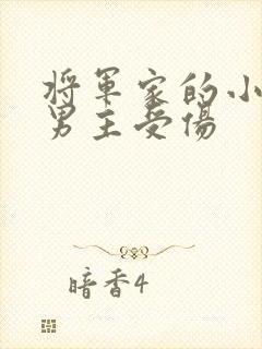 将军家的小娘子男主受伤