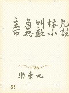 主角叫林凡的都市无敌小说