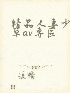 精品人妻少妇嫩草av专区