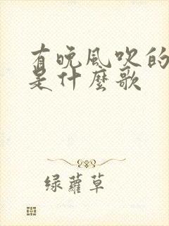 有晚风吹的歌词是什么歌