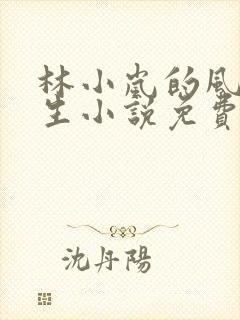 林小岚的风流人生小说免费阅读