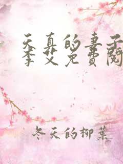 天真的妻子小说李艾免费阅读