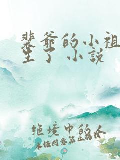 裴爷的小祖宗重生了 小说