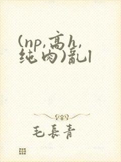 (np,高h,纯肉)乱l