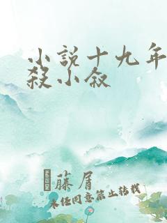 小说十九年间谋杀小叙
