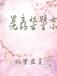 男主姓顾女主姓沈的古言小说