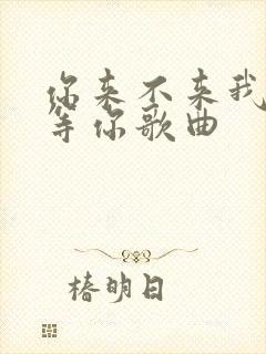 你来不来我都在等你歌曲