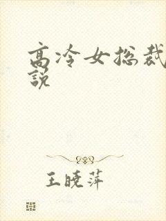 高冷女总裁的小说