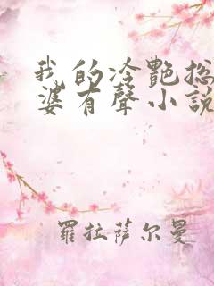 我的冷艳总裁老婆有声小说完整