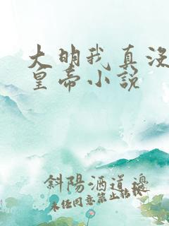 大明我真没想当皇帝小说