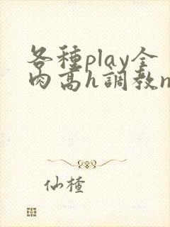 各种play全肉高h调教np
