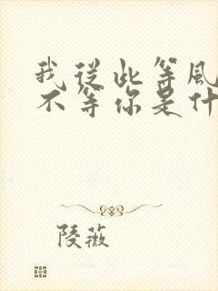 我从此等风等雨不等你是什么歌