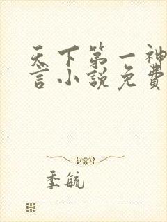 天下第一神功景言小说免费阅读