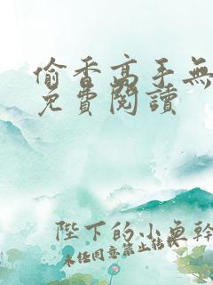 偷香高手无弹窗免费阅读