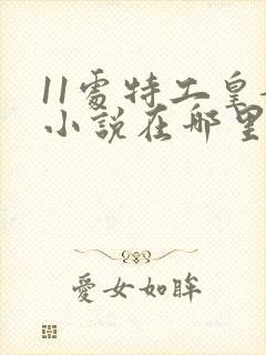 11处特工皇妃小说在哪里能看