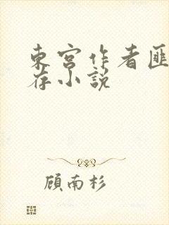 东宫作者匪我思存小说