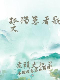 孤独患者歌词全文